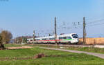 411 060  Markt Holzkirchen  als ICE 2875 (Frankfurt Hbf - Basel SBB) bei Niederschopfheim 19.3.26