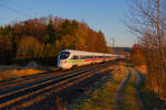 411 031 DB Fernverkehr  Trier  als ICE 90 (Wien Hbf - Hamburg-Altona) bei Postbauer-Heng, 07.03.2022
