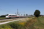 411 062  Vaihingen an der Enz  und 411 055  Oschatz  waren am 14. August 2026 bei �bersee am Chiemsee auf dem Weg nach M�nchen.