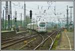 411 002  Neubrandenburg  rollt als ICE1759 nach Dresden Hbf, aus dem Bahnhof Hamm (Westf) aus.