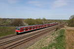 420 434 und 420 462 waren in Richtung München unterwegs. Aufgenommen am 6. April 2024 bei Vierkichen.