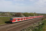 420 461 und 420 450 aus Petershausen kommend am 7. April 2024 bei Vierkirchen.