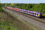 423 714 lila S-Bahn am Morgen des 4. Mai 2026 bei Asbach.