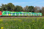 Die grüne S-Bahn 423 am 29.9.2026 bei Eglharting.