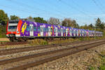 423 597 lila S-Bahn München, am 29.9.2026 bei Eglharting. Die Folierung an der Front ist leider verschwunden.
