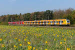 Auch die gelbe S-Bahn 423 094 macht sich ganz schick mit den Blumen im Vordergrund bei Eglharting am 04.10.26.