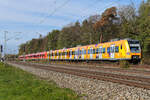 S-Bahn München 423 621 in orange am 26.10.26 bei Eglharting.