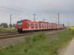 Der 423 133 mit einem Weiteren als S Bahn nach Petershausen am 28.04.2011 unterwegs bei Hebertshausen. 