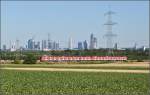 Sommerbild mit Skyline. Der sanfte Anstieg hin zum Taunus macht es möglich. Über dem Rübenfeld bleibt das Hitzeflimmern im Rahmen. Ein Vollzug mit 423 bei Eschborn vor der Frankfurter Skyline. Juli 2015.

Ob dieses Foto in einigen Jahren no so gezeigt werden darf? Für das erste ist die Panoramafreiheit gerettet, auch wenn gewieften Lobby-beeinflussten Politikern immer eine Harke zuzutrauen ist...