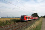DB Regio 423 448 + 423 393 // Steinbach (Taunus) // 22.