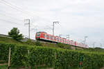 DB Regio 423 327 (Nachschuss) + 423 415 (führend) // Hochheim am Main // 9.