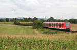 DB Regio 423 398 + 423 326 // Aufgenommen zwischen den Stationen Seulberg und Bad Homburg.