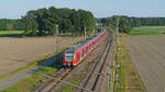 424 505 und ein Schwesterfahrzeug als S2 nach Nienburg (Weser) kurz vor Einfahrt in den Bahnhof Linsburg. Aufgenommen im August 2020.
