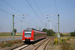 DB Regio 425 269 // Lingenfeld (Pfalz) // 19.