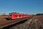 DB S-Bahn Rhein Main 425 531-1 als S7 am 14.02.21 in Wolfskehlen 