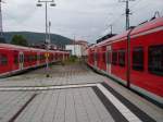 S-Bahn Rhein Neckar Treffen in Neckargemnd am 05.08.10 