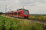 Zwischen Krefeld-Forstwald und Willich-Anrath kommt der 425 554 als RB 33 nach Aachen Hbf am Mittag des 16.7.2016 gefahren.