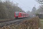 Um 12:¹⁷ Uhr  kam der 425 119-5 als S2 nach Kaiserslautern Hbf im Schneetrieben in Neckargerach eingefahren.