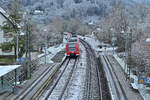 Durch die mit Schnee gepuderte Landschaft des Neckartals als roter Fleck, kommt der 425 016 als S2 nach Mosbach Baden in Neckargerach eingefahren am Samstag den 21.1.2023