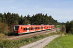 426 033  Ruhpolding  & 426 030  Siegsdorf  auf dem Weg nach München am 1. Oktober 2021 bei Grabenstätt im Chiemgau.