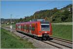 Seit dem Fahrplanwechsel im Dezember 2022 verkehren zwischen Schaffhausen und Singen wieder Thurbo GTW RABe 526.