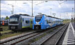 Arverio 2463036-0 passiert hier am 12.5.2026 um 15.12 Uhr den geparkten Agilis ET 440411 bei der Einfahrt in Donauw�rth.