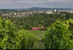 Inmitten der heranreifenden Weinreben auf dem Schnarrenberg in Stuttgart fährt 426 013-9 mit Berufspendlern vorüber.