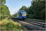 427 554 als RB 5 nach Fulda unterwegs,gesehen am 05.08.2020 im Haunetal.