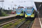 RHEINE (Kreis Steinfurt), 19.08.2011, Hochbetrieb im Bahnhof Rheine: rechts ET018 in Doppeltraktion mit ET009 als RB65 von Münster(Westf) Hbf, daneben ET011 (ebenfalls Westfalenbahn) als RB61 nach Bielefeld Hbf
