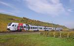 Süwex DB-429 113 unterwegs vor den Niersteiner Weinbergen.
