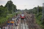 Am Abend des 25.07.2014 streikte 429 028-4 sie war eigentlich als S1 von Rostock Hbf nach Warnemnde unterwegs und kam dann nur bis Rostock-Bramow recht´s steht der Holzzug nach Stendal-Niedergrne. 