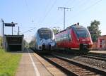 Der silberne S-Bahn Mitteldeutschland Hamster 1442 213 am Bahnsteig als S4 nach Geithain in Leipzig Thekla wartet, wird er von seinem roten Bruder 442 711 überholt.