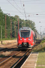 DB Regio 442 146 // Ziltendorf // 25. Juli 2013