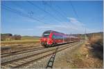 442 306 / Stockheim / 15.01.2020