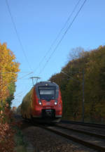 442 006 nahe Finsterwalde, Teleblick. 25.10.2020, 13:26 Uhr.