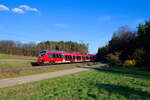 442 239 DB Regio als S3 39368 (Neumarkt (Oberpf) - N�rnberg Hbf) bei Mimberg, 06.04.2022