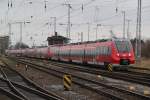 Wenn ein Hamster Angst hat bringt es lieber gleich die Familie mit Rostock Hbf.06.12.2011 