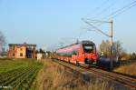 Ostseehamster 442 337 am 13.11.13 auf der S3 Rostock-Güstrow in Gragetopshof