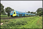 Kiss Doppelstock Triebwagen ET 603 der Westfalenbahn ist hier bei Westerhausen am 21.7.2021 um 9.28 Uhr auf dem Weg von Rheine nach Braunschweig.