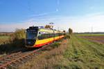 AVG (Albtal-Verkehrs-Gesellschaft) Bombardier ET2010 Wagen 931+941 am 03.11.18 in der Nähe von Sulzbach auf der Strecke Frankfurt Höchst-Bad Soden.