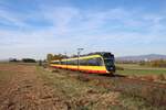 AVG (Albtal-Verkehrs-Gesellschaft) Bombardier ET2010 Wagen 941+931 am 03.11.18 in der Nähe von Sulzbach auf der Strecke Frankfurt Höchst-Bad Soden. Durch Planungen zur RTW Regionaltangente West wurden zum zweitem mal Testfahrten mit AVG Stadtbahnwagen aus Karlsruhe vorgenommen