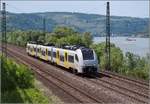 Bahn am Mittelrhein. 460 105 bei der Einfahrt nach Niederheimbach, Juni 2019.