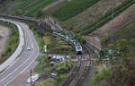 Aus Boppard kommt hier der ET 460016-9 am 20.9.2026 um 11.16 Uhr auf der Fahrt nach Koblenz.