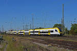 Siemens Desiro 1462 011-6 fährt beim badischen Bahnhof ein. Die Aufnahme stammt vom 08.09.2020.