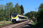 463 010-9; 463 019-0 und 463 017-4 als Lt 70682 (Villingen-Radolfzell) bei Villingen 20.8.20