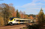 463 010-9 und 463 004-2 als Lt 70681 (Radolfzell-Offenburg) bei 31.10.20