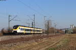 463 018-2 als RB 17113 (Offenburg-Freiburg(Brsg)Hbf) bei Friesenheim 2.3.21