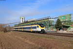 463 019-0 als RB 17125 (Offenburg-Freiburg(Brsg)Hbf) bei Friesenheim 20.3.21