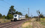 463 030 als S 38935 (Mannheim Hbf - Graben-Neudorf) bei Wiesental 19.8.25