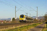 ET 3.12 A als MEX 16 Plochingen-Ulm am 13.11.2022 zwischen Gingen und Kuchen. 